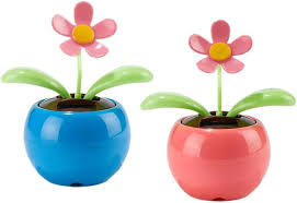 Solar Flower Pot